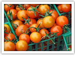 You Say Tomato... - Making the Most of the Summer Harvest - By Kirk Leins
