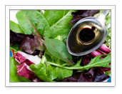 Spring Veggies, Part 2 - A Minimalist�s Approach Revisited - By Kirk Leins