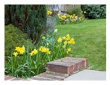 Do You Need to Prepare Your Home for Spring?