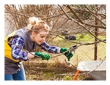 Late Winter Pruning Guide