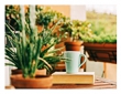 Tips for Creating an Outdoor Oasis