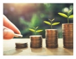 The Homeowner's Guide to Building Equity: Strategies for Long-Term Financial Growth