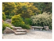 Creating a Zen Garden: A Low-Maintenance Outdoor Space for Relaxation and Meditation