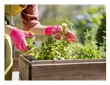 Year-Round Container Gardening: Growing Fresh Herbs and Vegetables at Home
