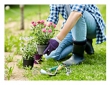 Creating a Rain Garden: Managing Water Runoff Beautifully