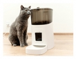 Automated Pet Care Systems: Smart Solutions for Busy Homeowners