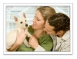 Pet Insurance:Health Plans for Fido and Fluffy