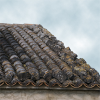 Insurance Insights: Is Your Roof Covered?